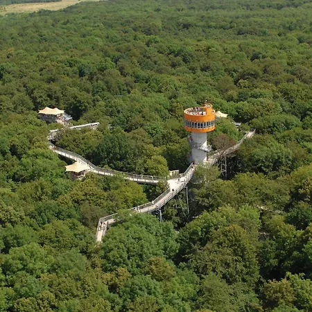 Sante Royale Hotel- & Gesundheitsresort Bad Langensalza